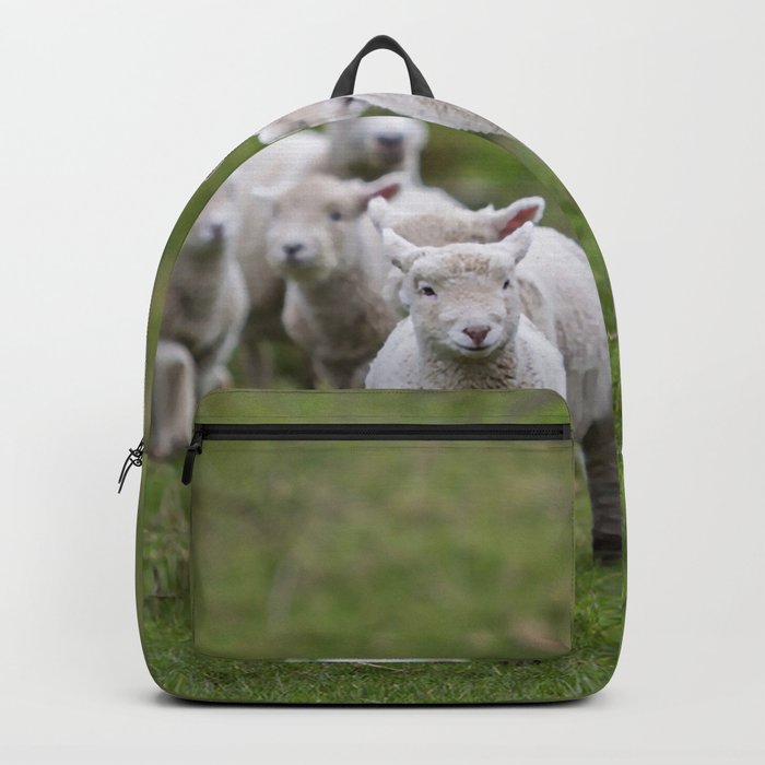 Flock Sheep Lambs Backpack