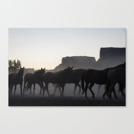 Silhouetted Canvas Print