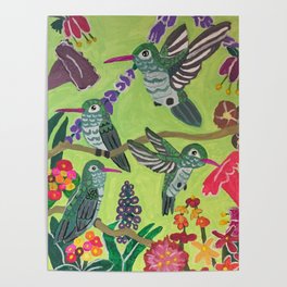 Hummingbird Harmony Poster