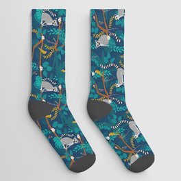 Lemurs on Blue Socks