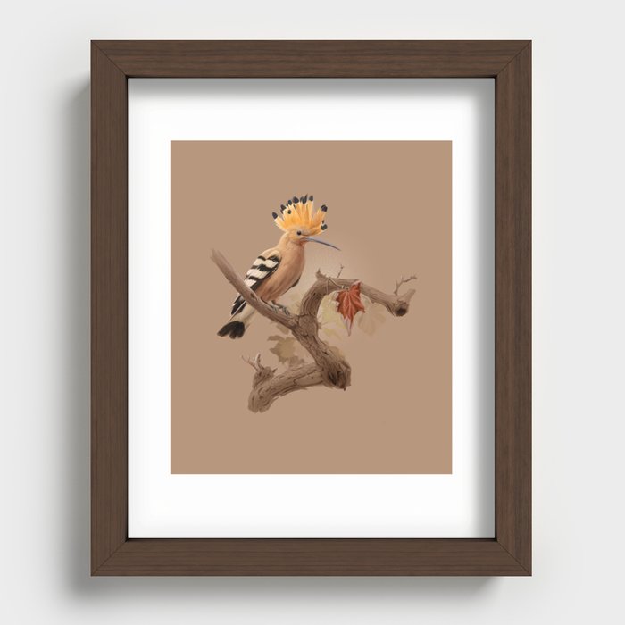 Hoopoe bird Recessed Framed Print