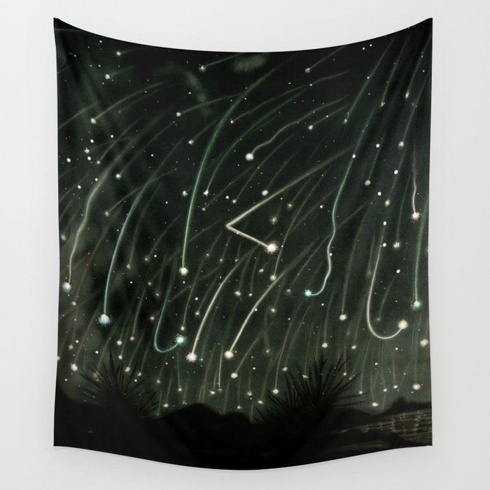November Meteors by Etienne Leopold Trouvelot Wall Tapestry