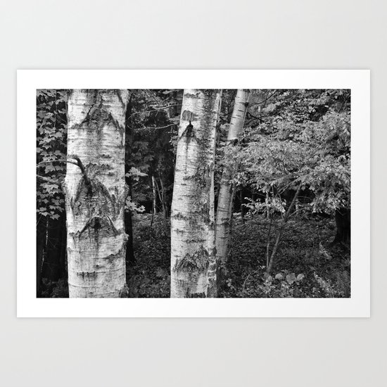 North Woods Art Print