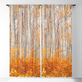 orange autumn Blackout Curtain