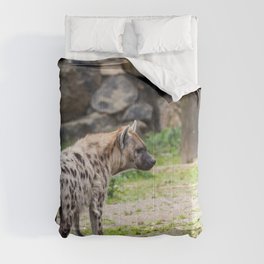 hyena Comforter | Photo, Nature, Animal 