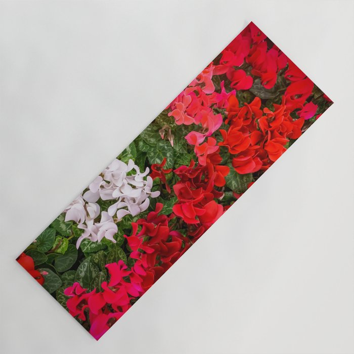 Red White Cyclamen Garden Plant Yoga Mat