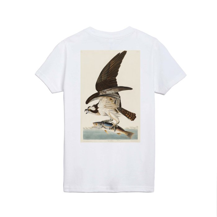Kids T Shirt | Fish Hawk, or Osprey from Birds of America (1827) by John James Audubon by Nobel-art - Kids Classic T-Shirt - Youth Large (14/16)