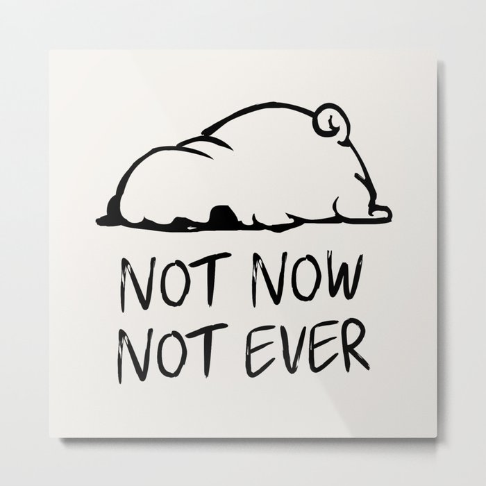 Not Now Not Ever Metal Print