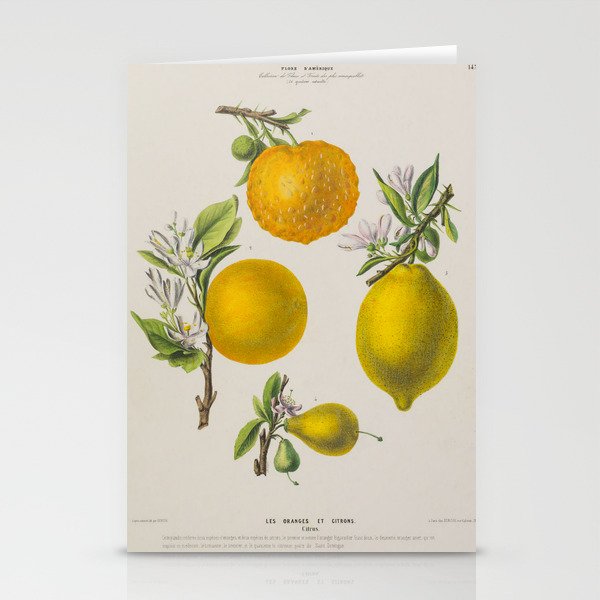 Citrus from "Flore d’Amérique" by Étienne Denisse, 1840s Stationery Cards