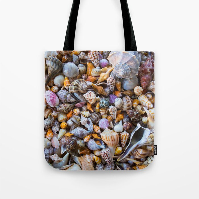 Seashell Collection Tote Bag