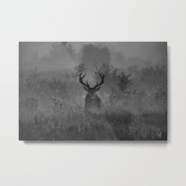 Deer In The Mist Metal Print