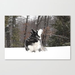 I can smell snow music in the air Canvas Print