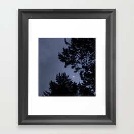 Benediction for the Lonely (benefiting The Nature Conservancy) Framed Art Print