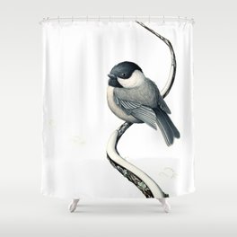 Black-capped Chickadee Shower Curtain