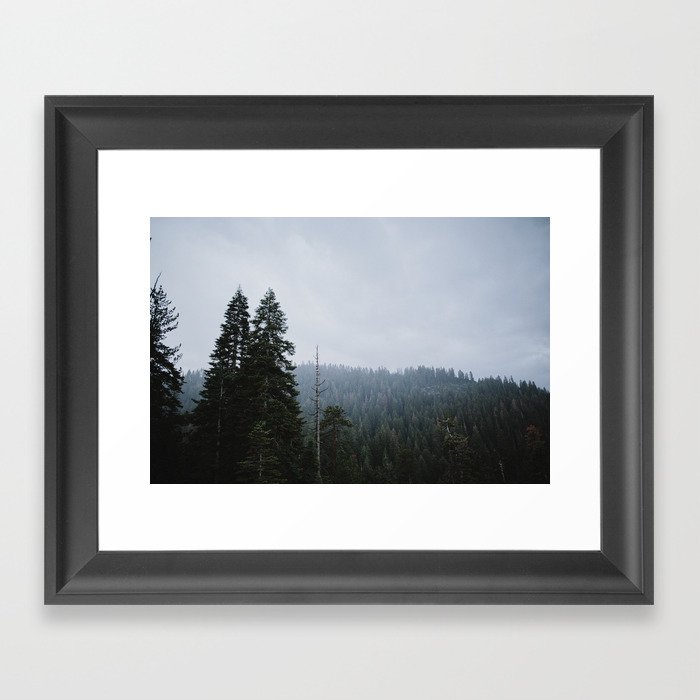 Trees Framed Art Print