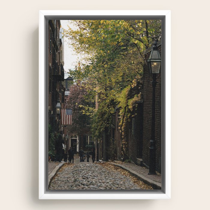 Framed Canvas