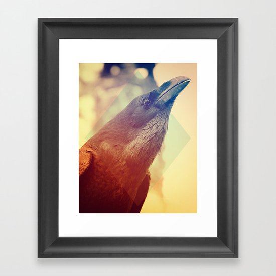 Crow Framed Art Print