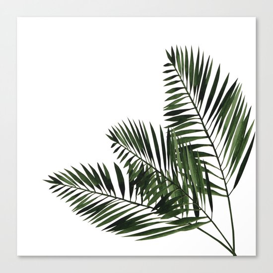 Tropical Exotic Palm Leaves I Canvas Print