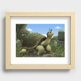 Tortoise Recessed Framed Print
