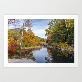 Reflective pond in Autumn Art Print
