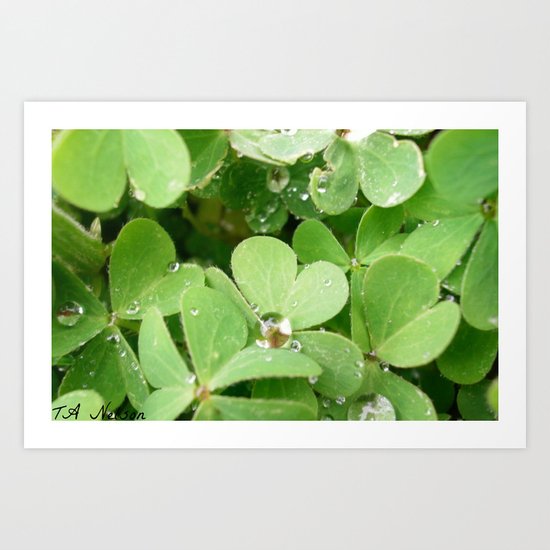 After the rain Art Print