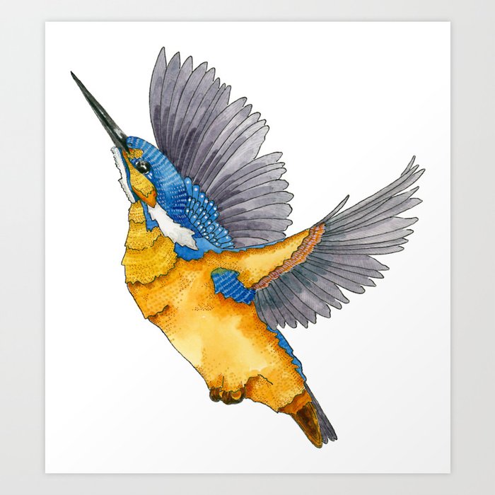 Kingfisher flying Art Print