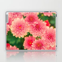 Pink Chrysanthemums 2 Laptop Skin
