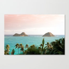 Nā Mokulua Canvas Print