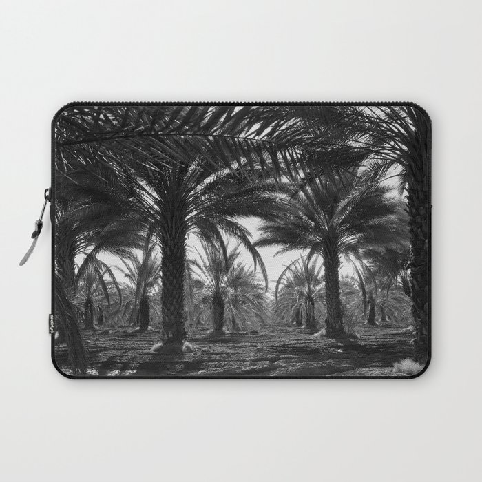  Date palms, Coachella Valley, California palm tree nature portrait tropical black and white photograph - photography - photographs Laptop Sleeve