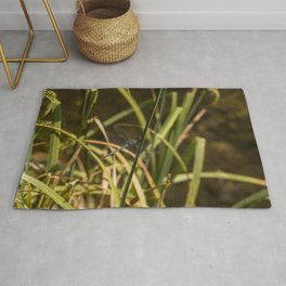 Dragonfly in the marsh Rug