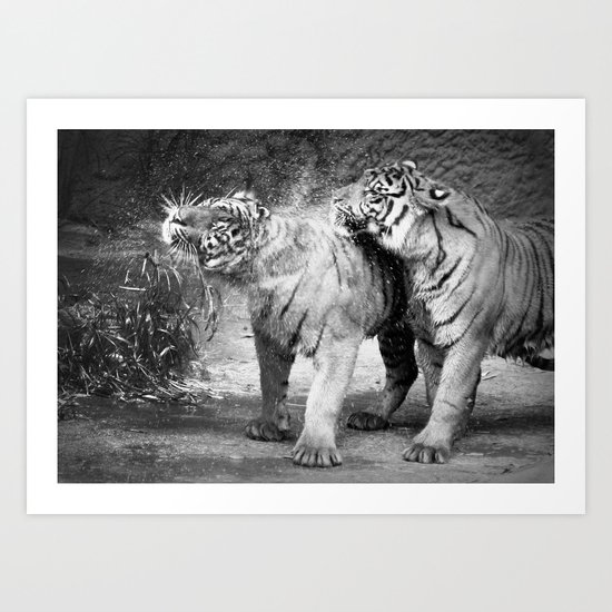 little tigers Art Print
