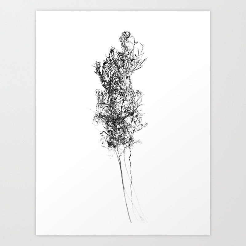 Get Wallpaper Wabi Sabi Dead Leaves Art Print By Jeremiahwilson Society6 Desktop Wallpaper