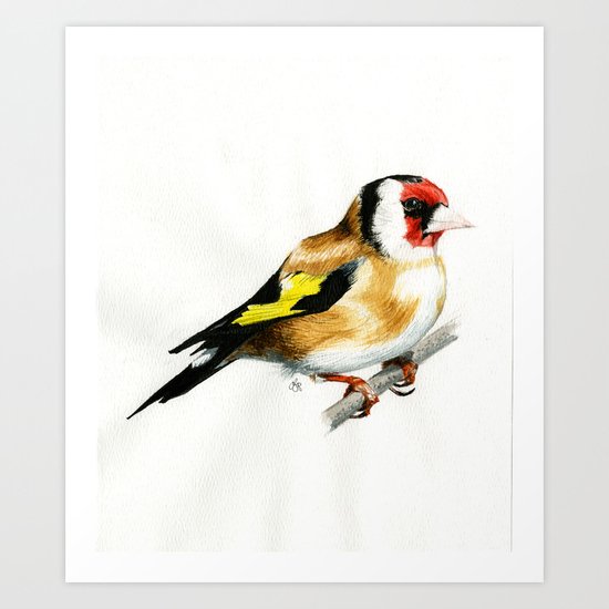 European Goldfinch Art Print