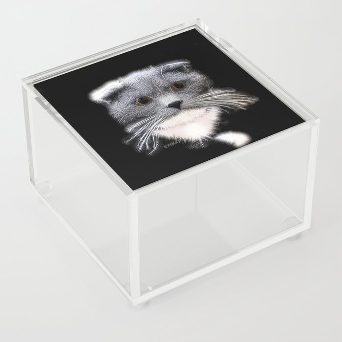 Spiked Grey and White Cat Acrylic Box