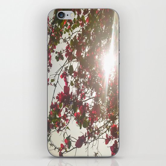 Bright Morning iPhone & iPod Skin