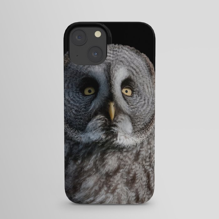 GREY OWL iPhone Case