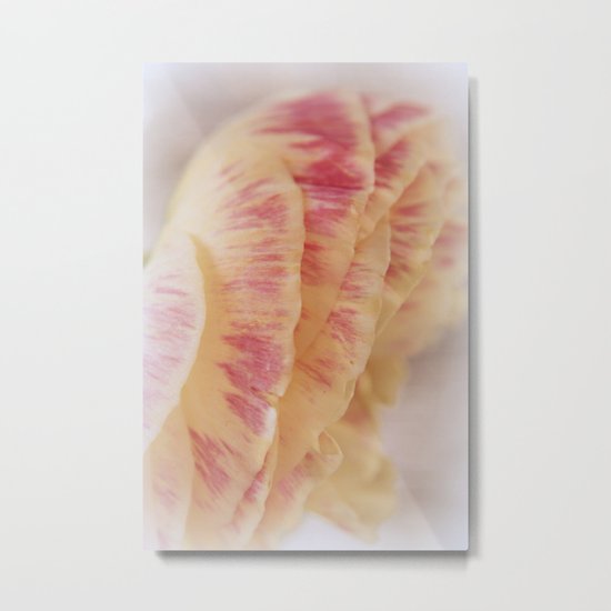 2 B discovered Metal Print