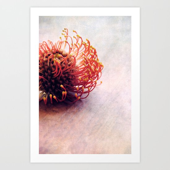 curve Art Print