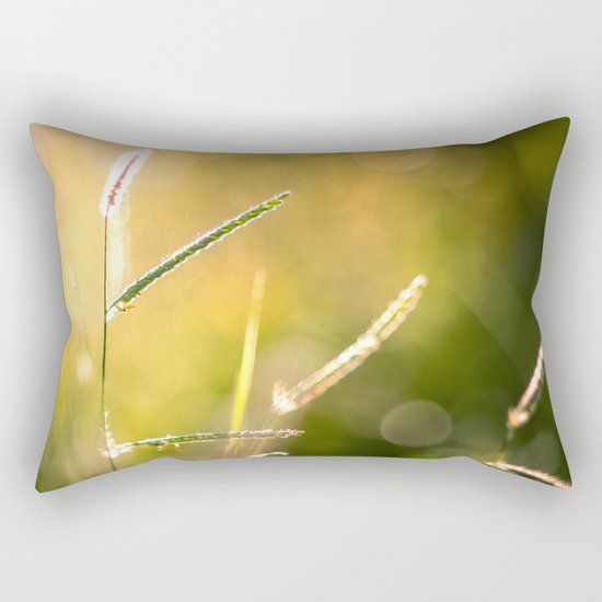 Fragile Rectangular Pillow