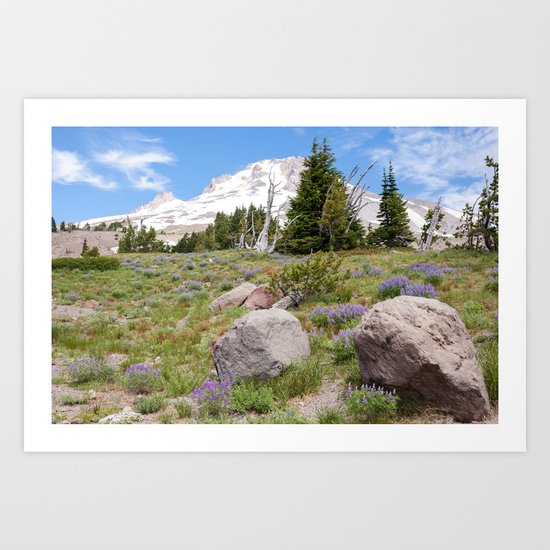 Mount Hood and Lupine Art Print