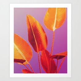 strelizie Leaves Orange pink Yellow abstract colorful Flowers Design Art Print