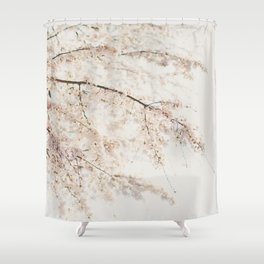 Cherry Blossom in Tokyo, Japan Shower Curtain