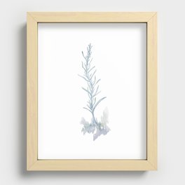 White Sage Recessed Framed Print