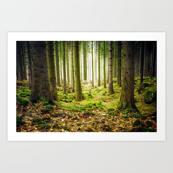 A Fairytale Forest Art Print