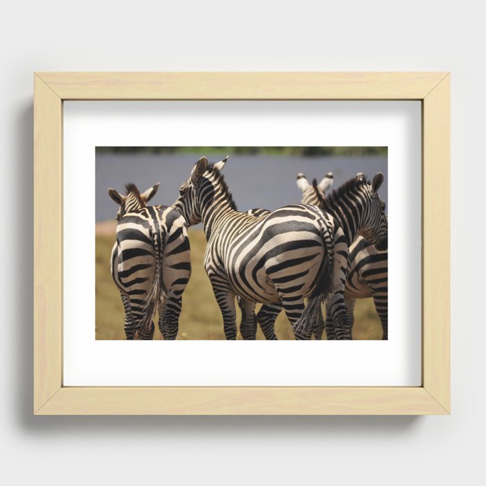 Family of Zebras at Ngorongoro Crater, Tanzania Recessed Framed Print