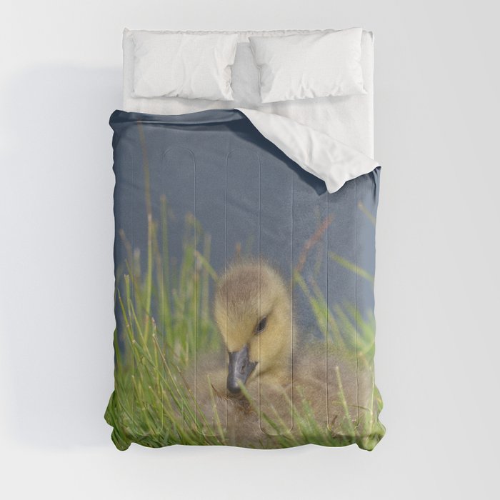 Fluffy - Cute Baby Canada Goose Comforter