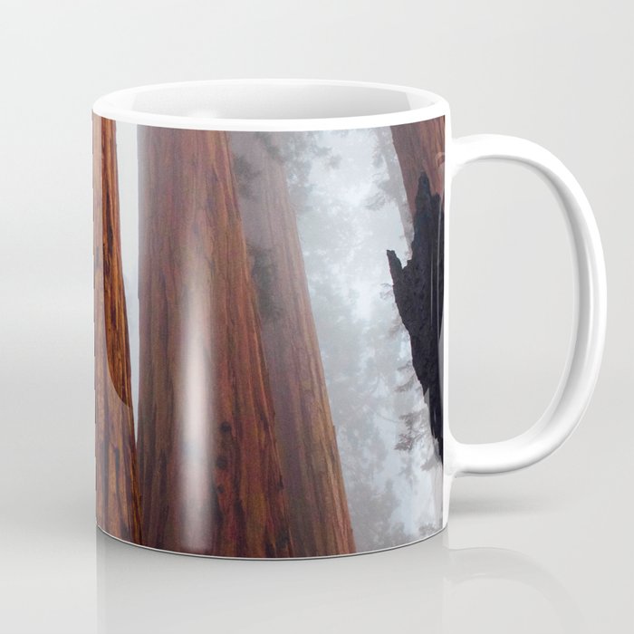 Tall Redwood Trees Coffee Mug