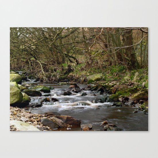 The River Washburn Canvas Print