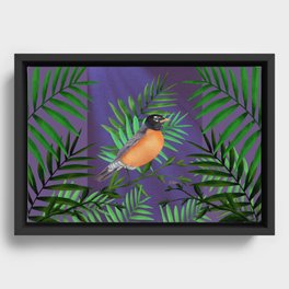  Robin Redbreast Resting in the Green Ferns Framed Canvas
