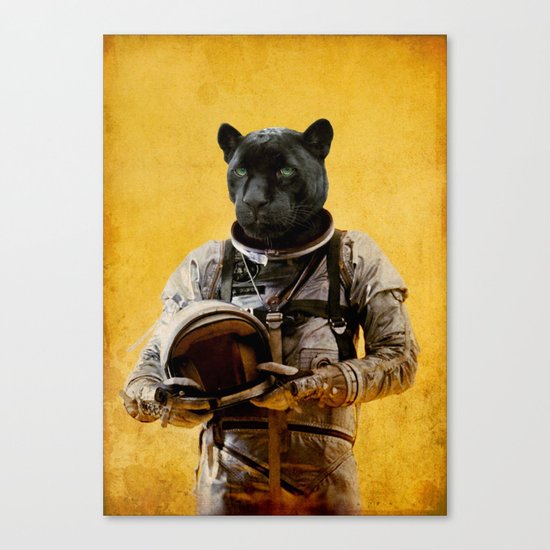 Space Jag Canvas Print